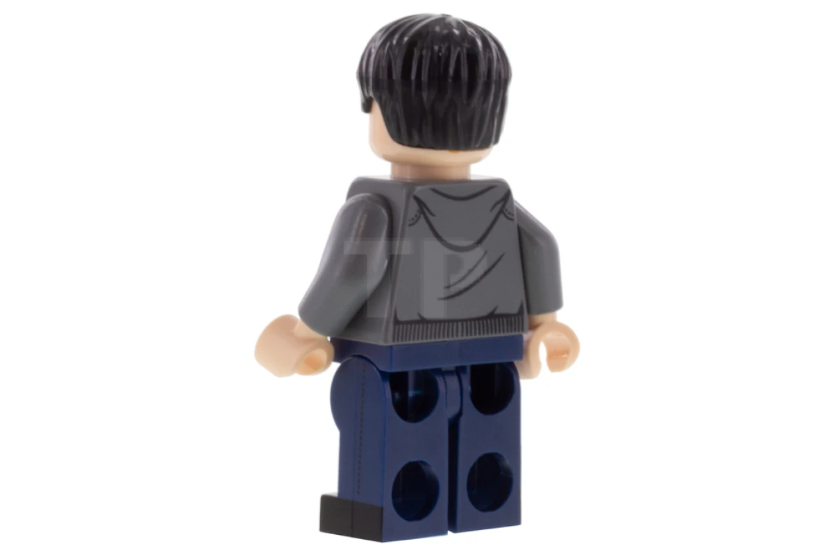 LEGO&reg; colhp23 Harry Potter