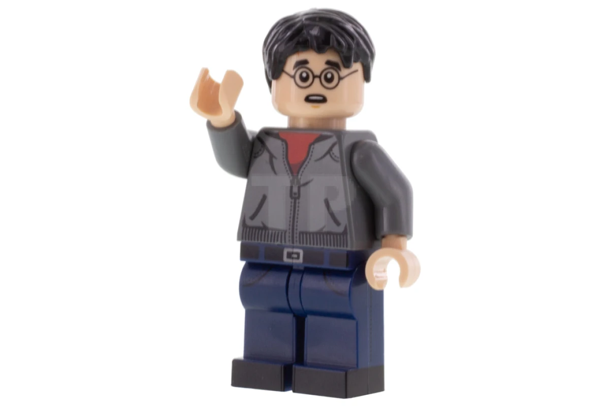 LEGO&reg; colhp23 Harry Potter