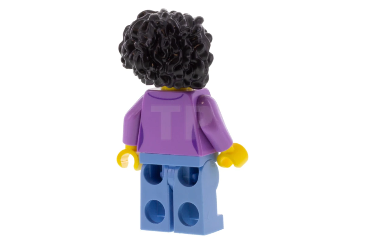 LEGO&reg; twn385 Customer