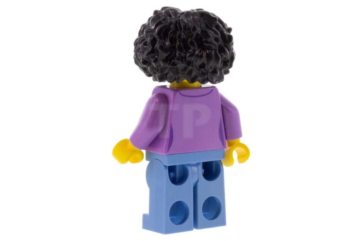 LEGO&reg; twn385 Customer