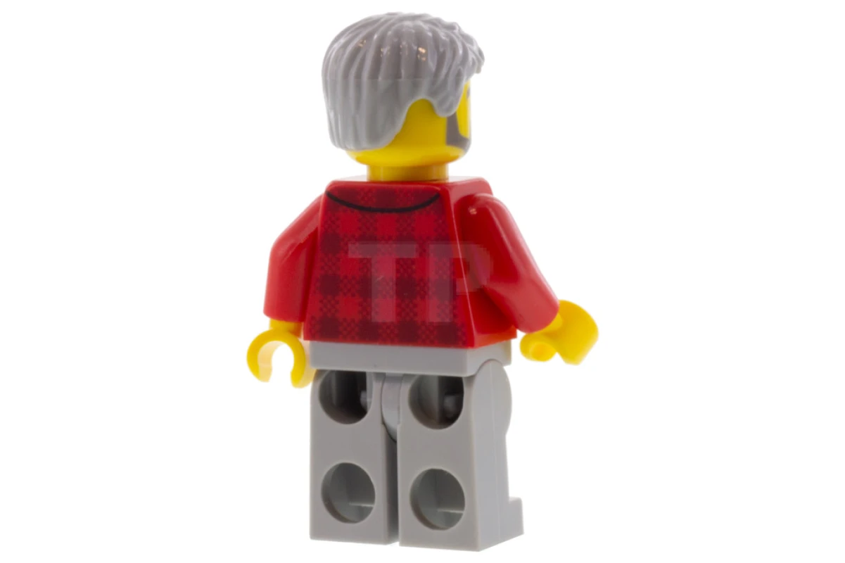 LEGO&reg; twn387 Bookseller