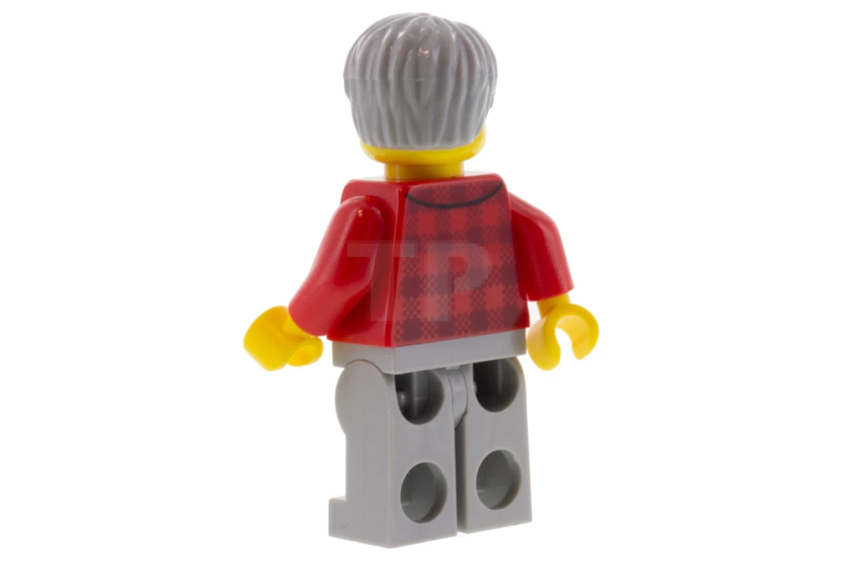 LEGO&reg; twn387 Bookseller