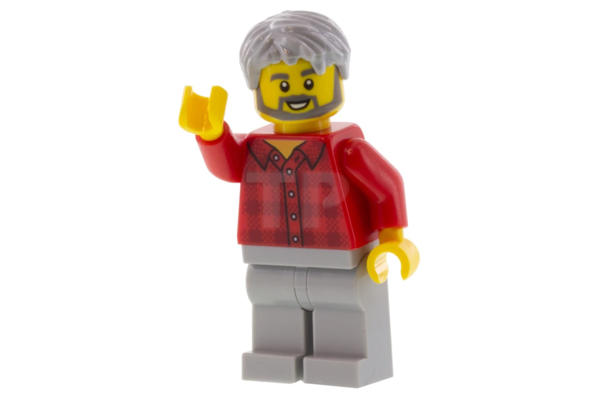 LEGO&reg; twn387 Bookseller