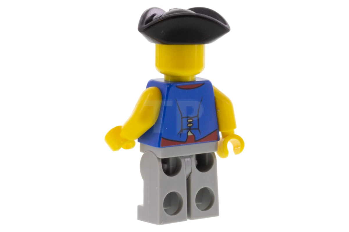 LEGO&reg; idea066 Quartermaster Riggings