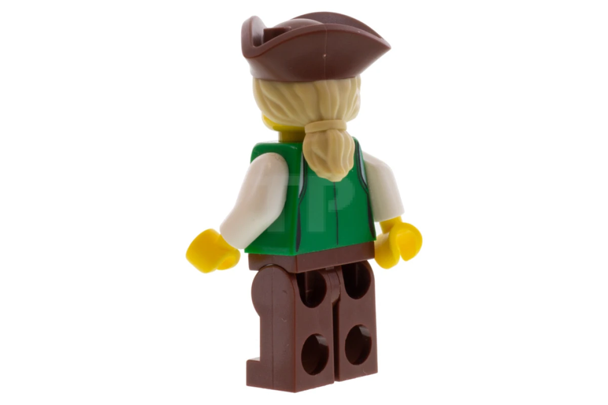 LEGO&reg; idea070 Robin Loot