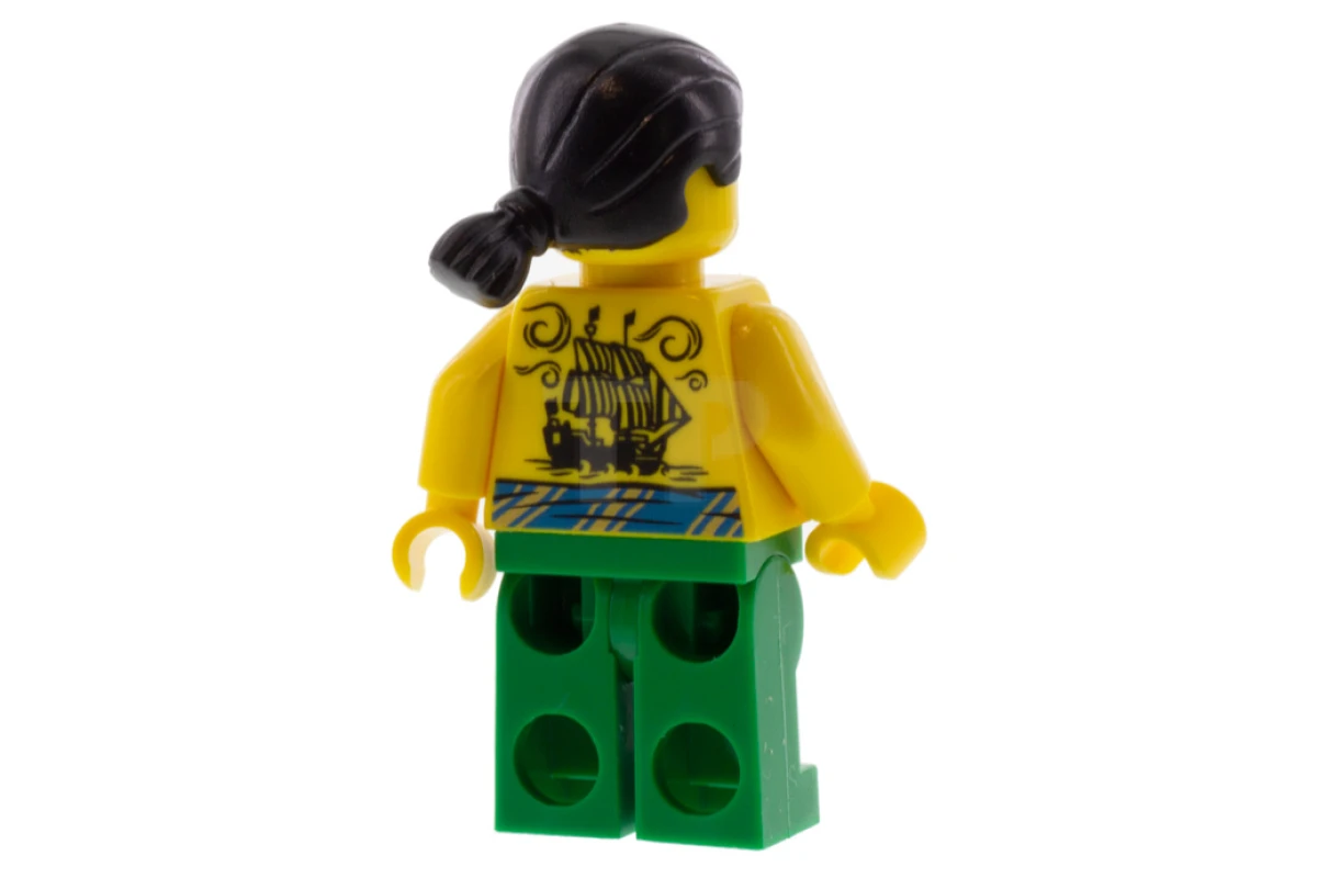 LEGO&reg; idea072 Tattooga