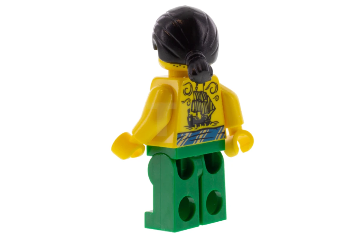 LEGO&reg; idea072 Tattooga