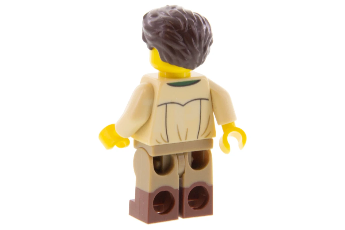 LEGO&reg; idea063 Paleontologist