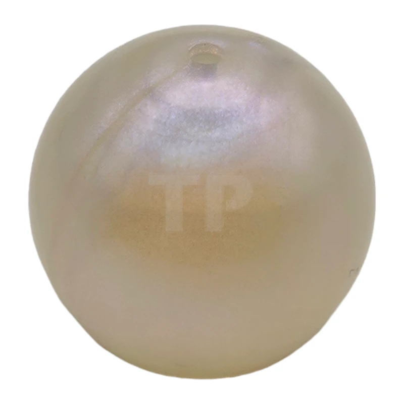 LEGO&reg; 6316974 - 51283 - Minifigure, Headgear Helmet Round Fishbowl