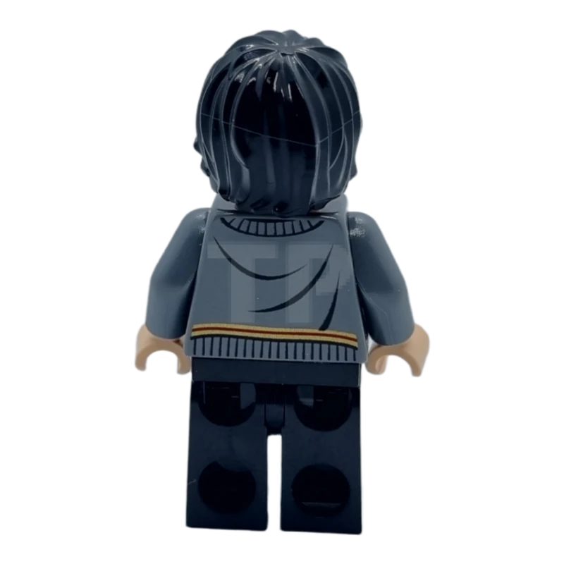 LEGO&reg; dim036 Harry Potter - Dimensions Team Pack (figurine seulement)