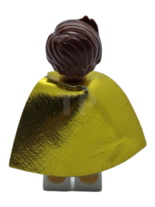 LEGO&reg; sh0444 Disco Robin