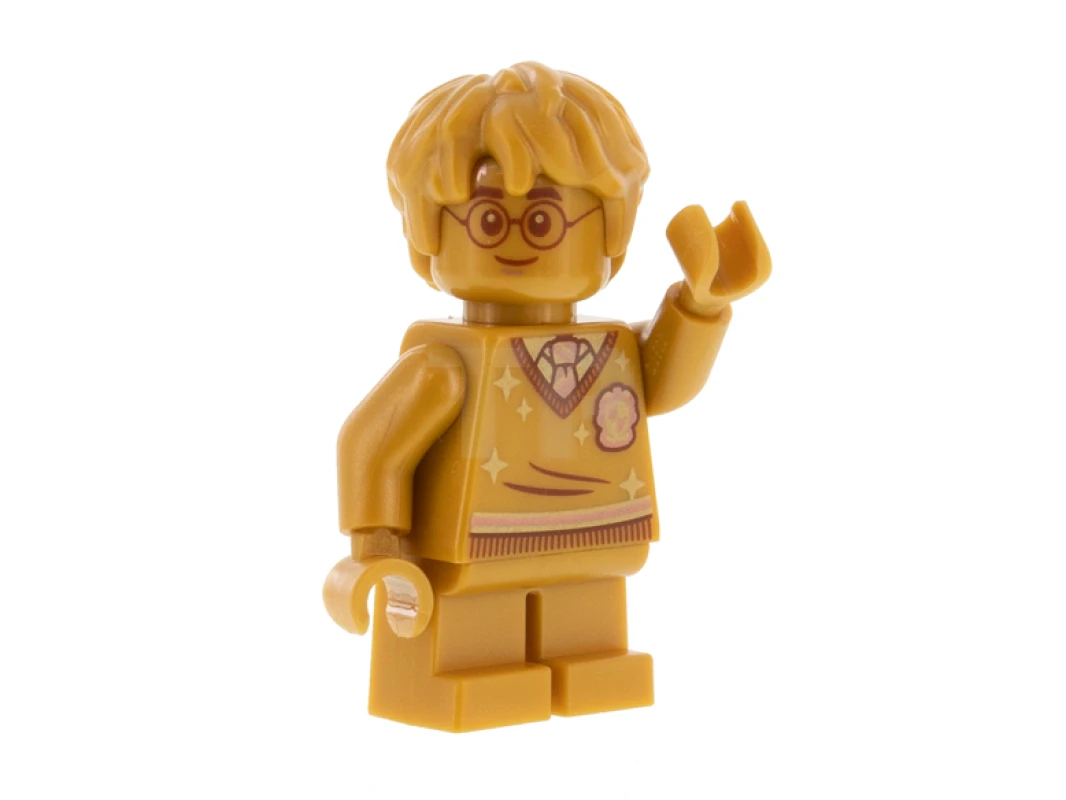 LEGO&reg; hp284 Harry Potter (20th Anniversary)