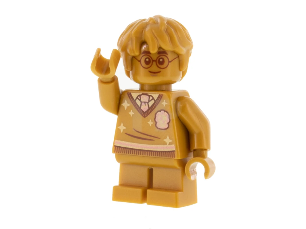 LEGO&reg; hp284 Harry Potter (20th Anniversary)