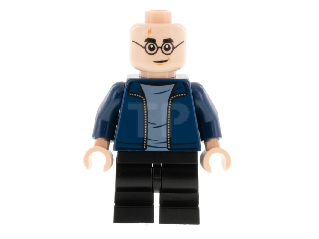 LEGO&reg; hp288 Harry Potter