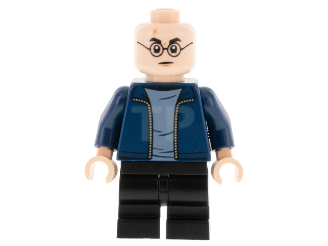 LEGO&reg; hp288 Harry Potter