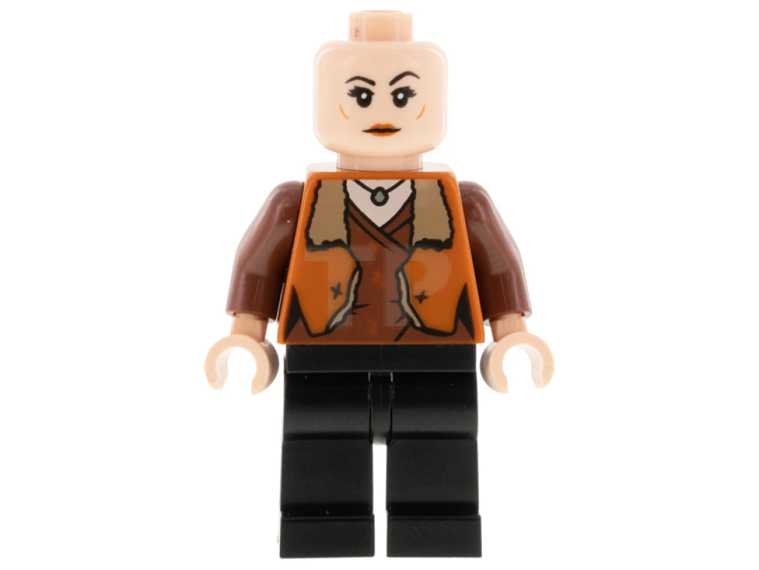 LEGO&reg; hp290 Señora Rosmerta