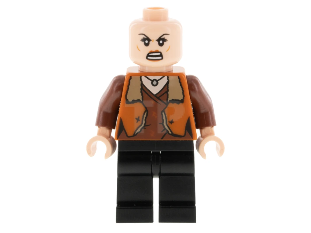 LEGO&reg; hp290 Señora Rosmerta