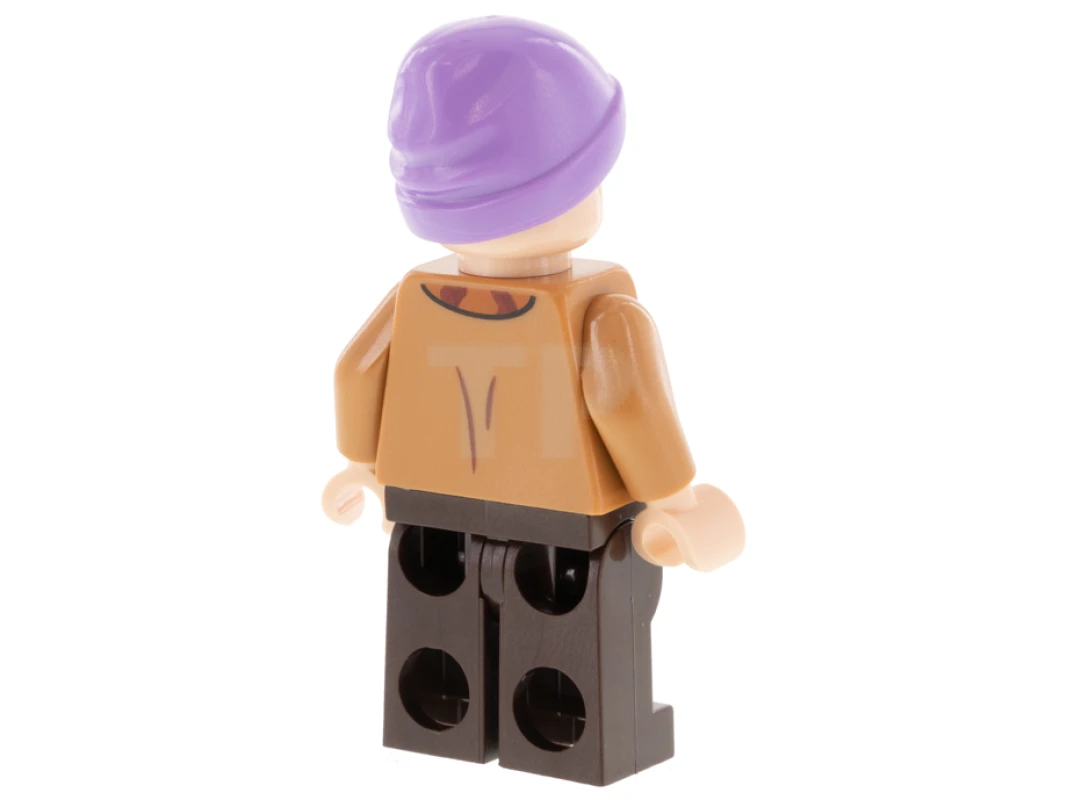 LEGO&reg; hp291 Signor Flume