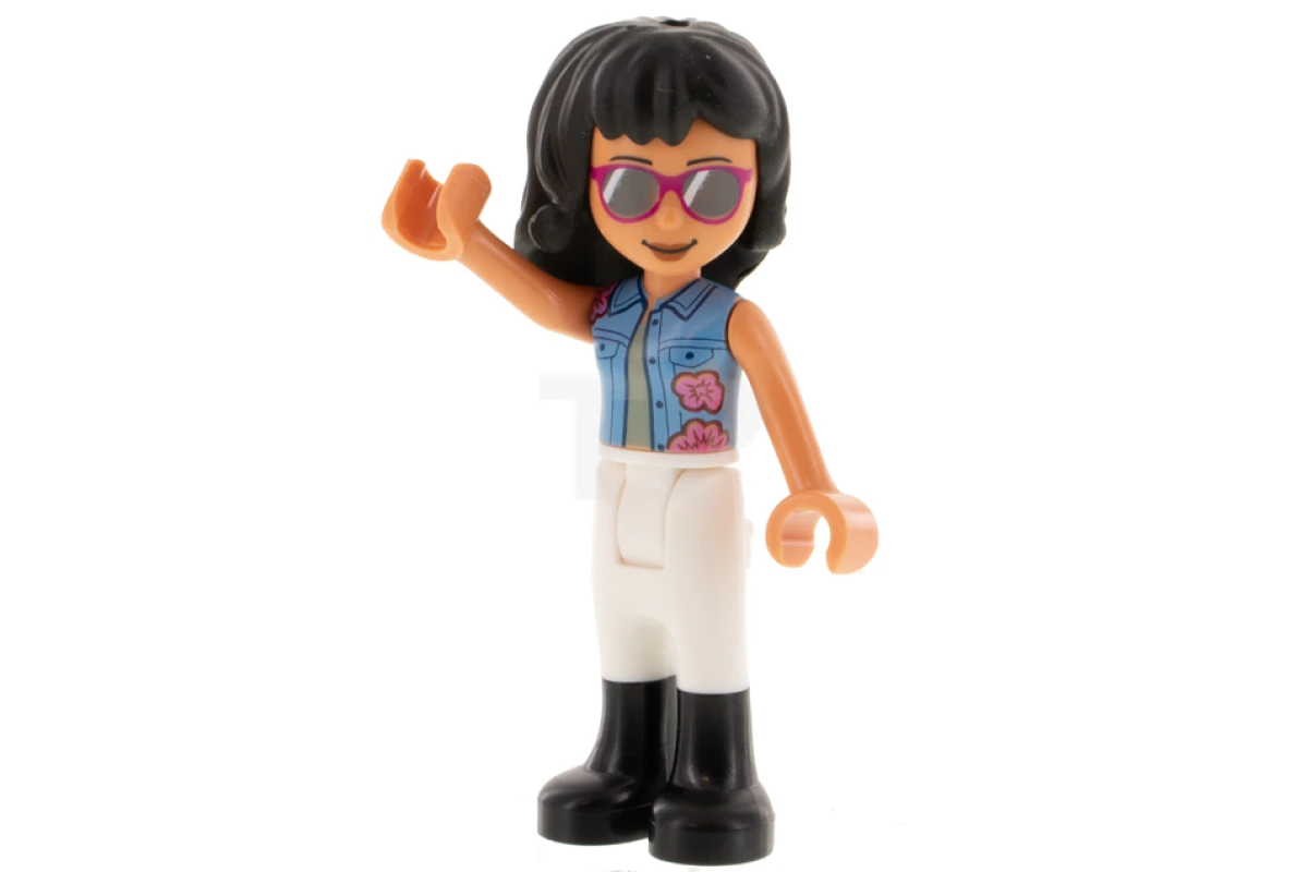 LEGO&reg; frnd0468 Savannah