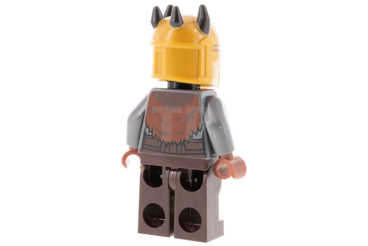 LEGO&reg; sw1171 The Armorer