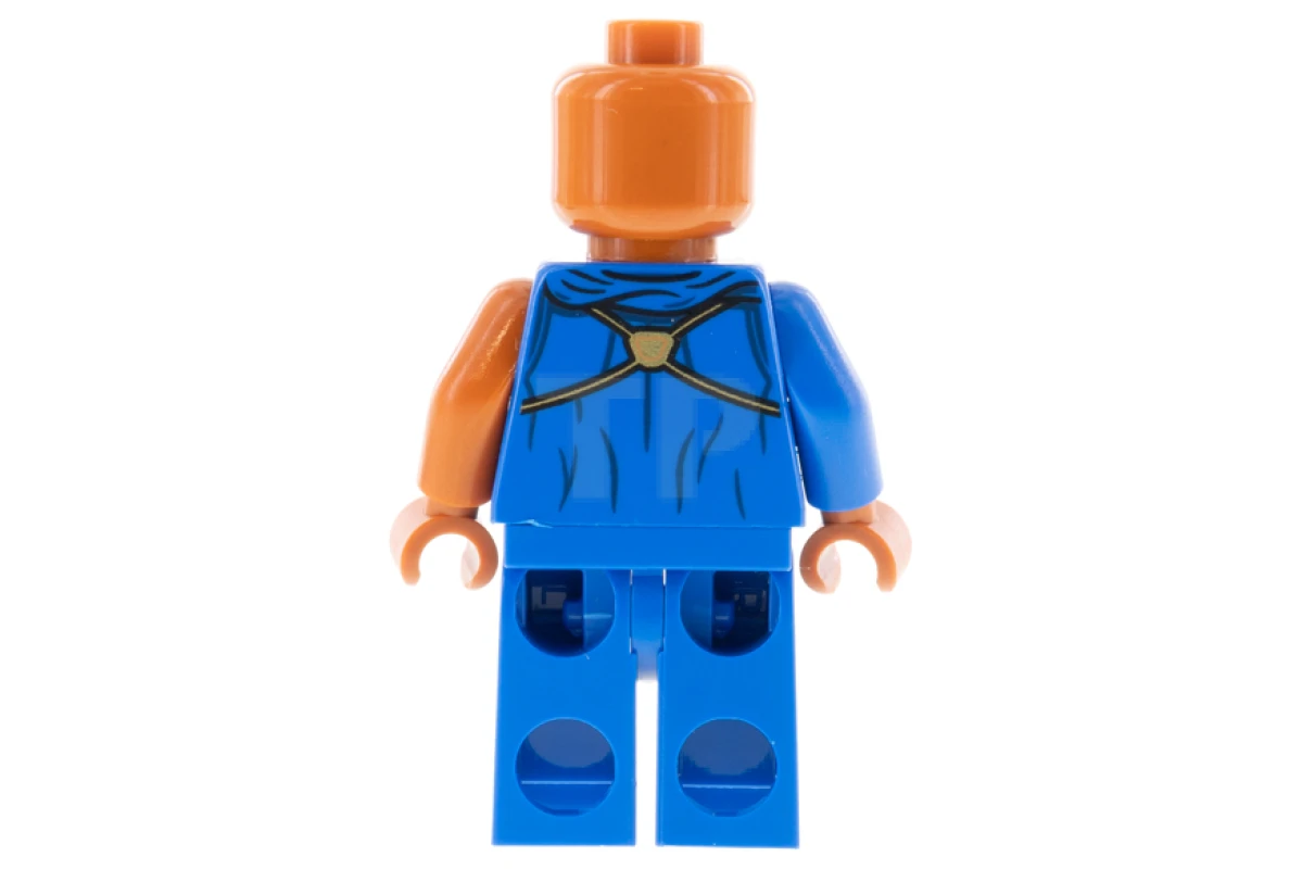 LEGO&reg; sh0746 The Watcher