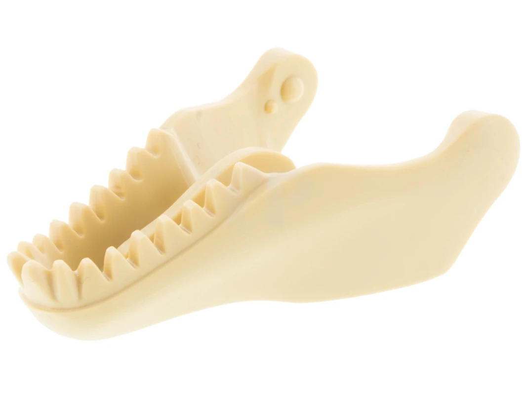 LEGO&reg; 6365880 - 98057 - Dinosaur Jaw Lower Tyrannosaurus rex