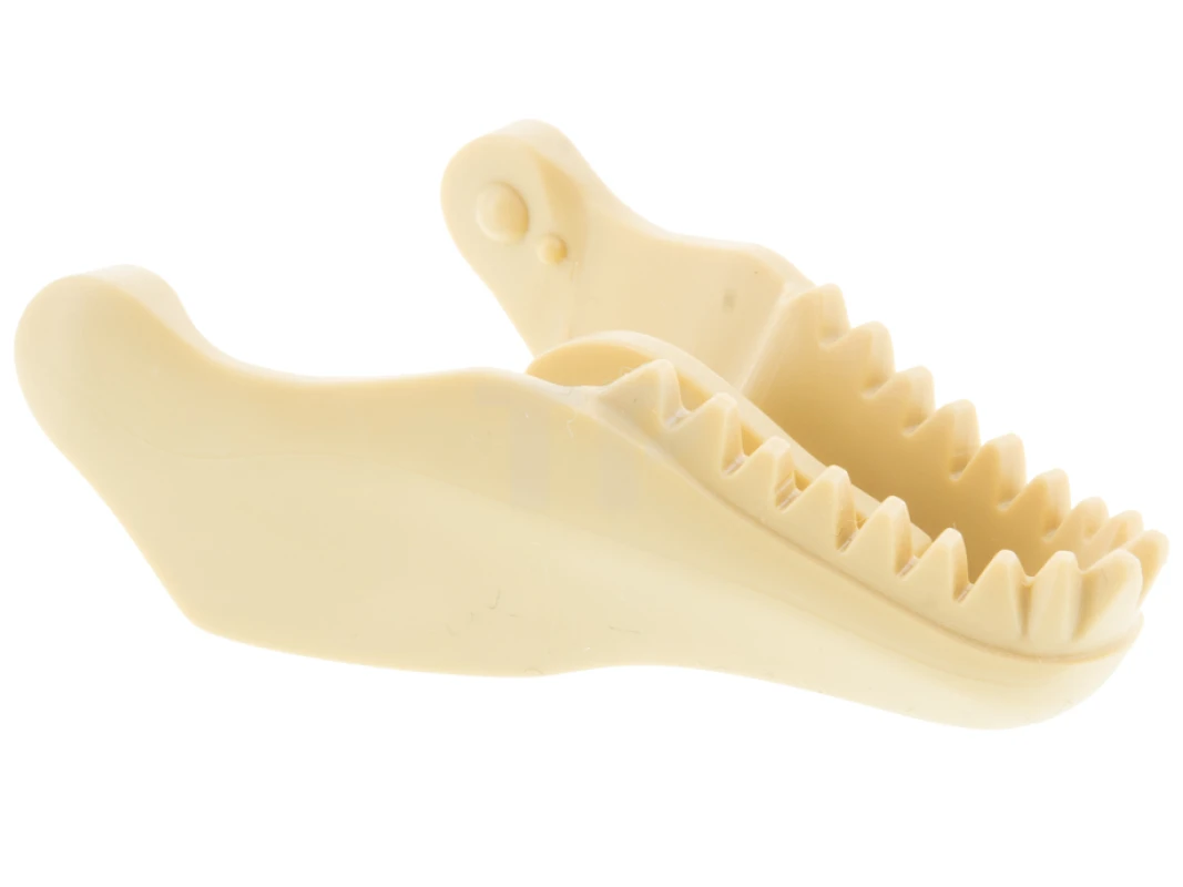 LEGO&reg; 6365880 - 98057 - Dinosaur Jaw Lower Tyrannosaurus rex