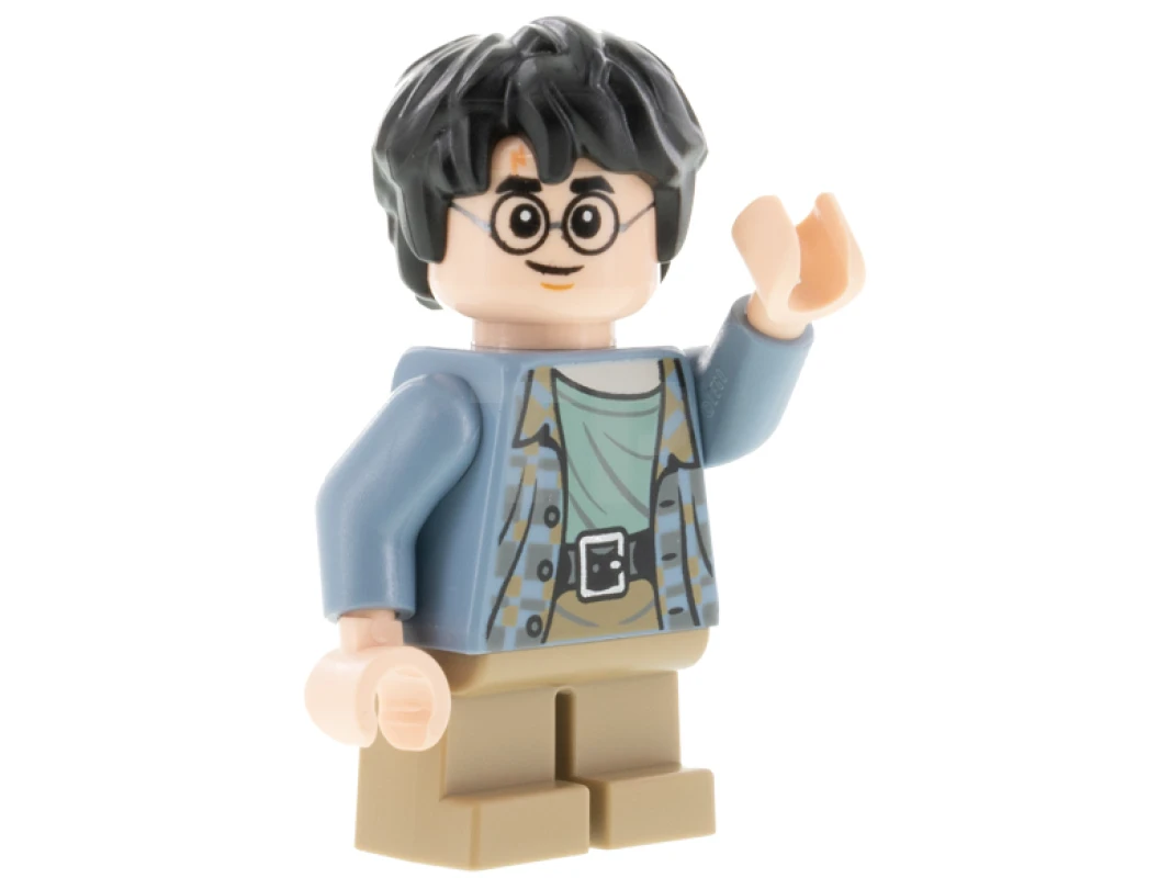 LEGO&reg; hp316 Harry Potter