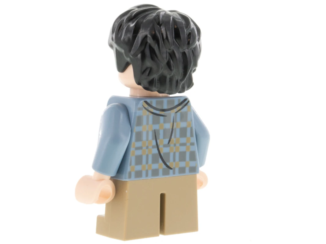LEGO&reg; hp316 Harry Potter