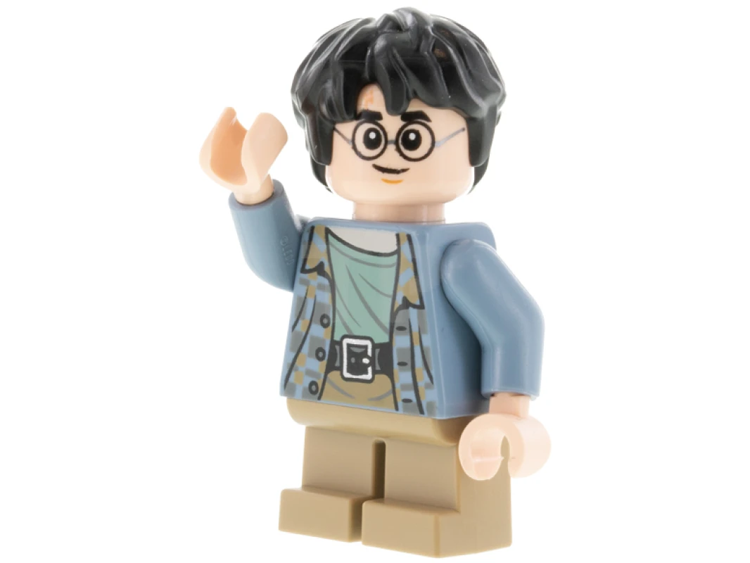 LEGO&reg; hp316 Harry Potter