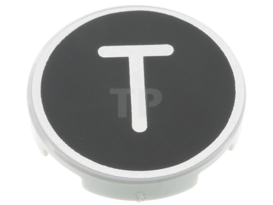 LEGO&reg; 6352979 - 14769pb441 - Tile 2 x 2 Round with Bottom O and Letter T Pattern