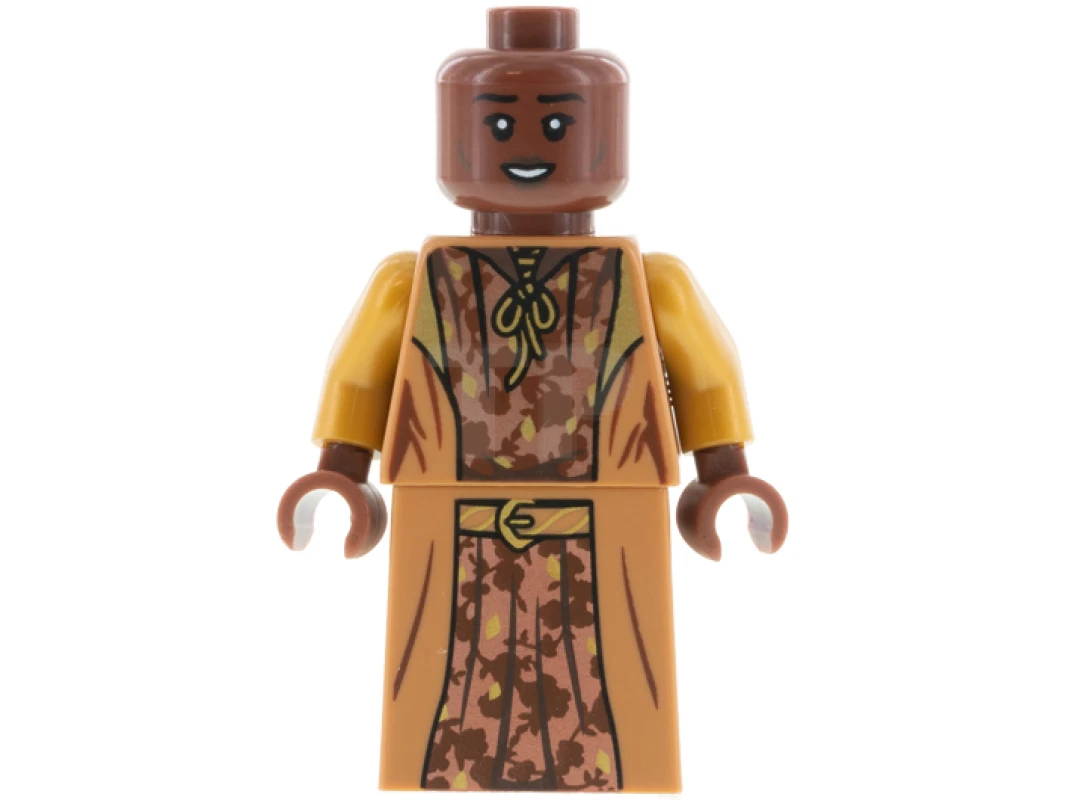 LEGO&reg; hp310 Professor Sinistra