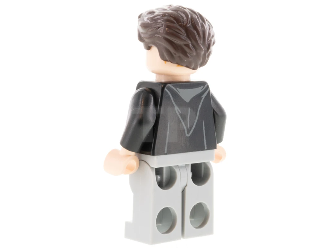 LEGO&reg; hp311 Tom Riddle
