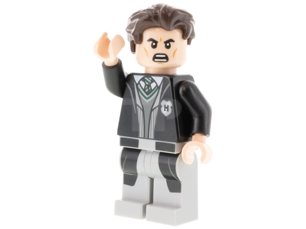 LEGO&reg; hp311 Tom Riddle