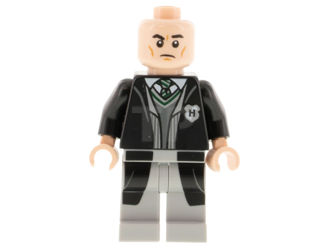 LEGO&reg; hp311 Tom Riddle
