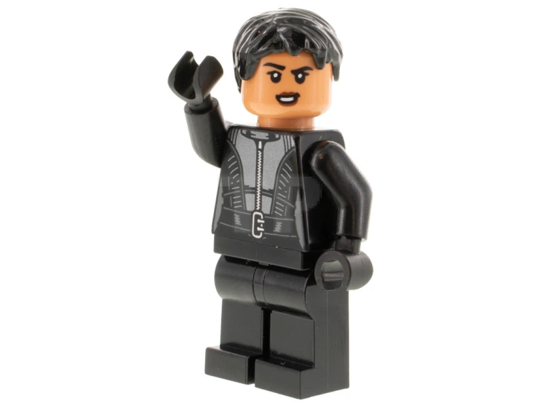 LEGO&reg; sh0788 Selina Kyle