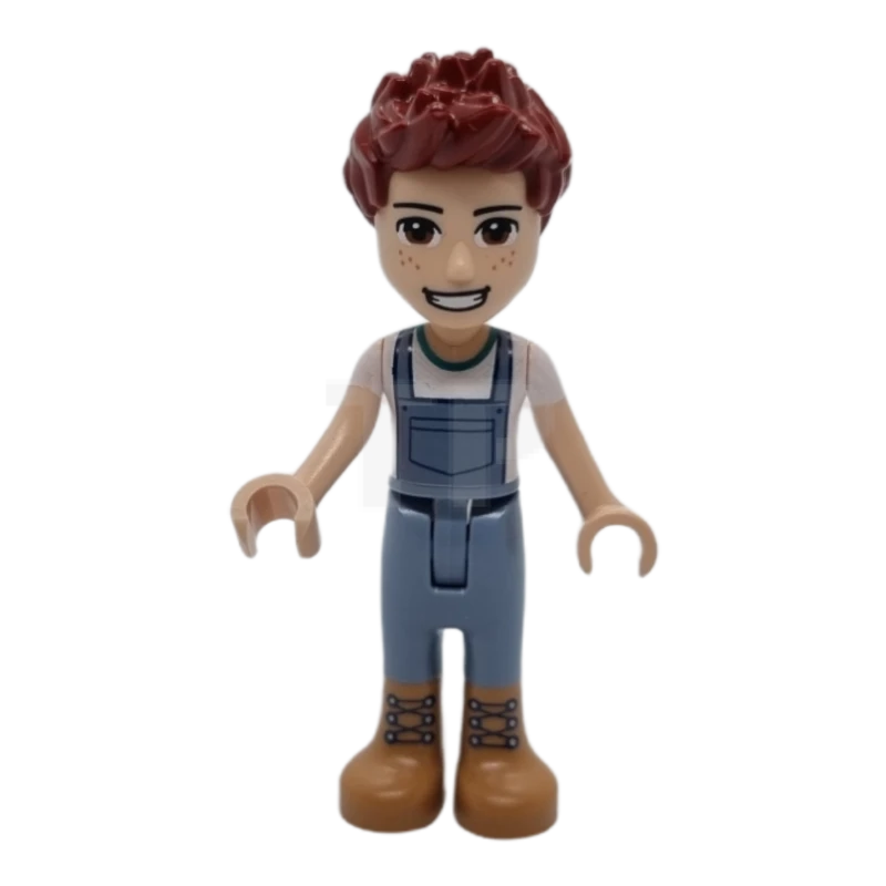 LEGO&reg; frnd0495 Danie