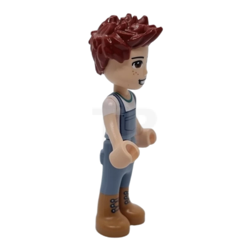 LEGO&reg; frnd0495 Danie