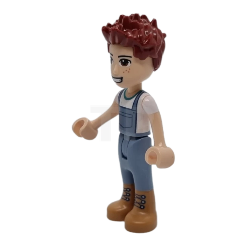 LEGO&reg; frnd0495 Danie