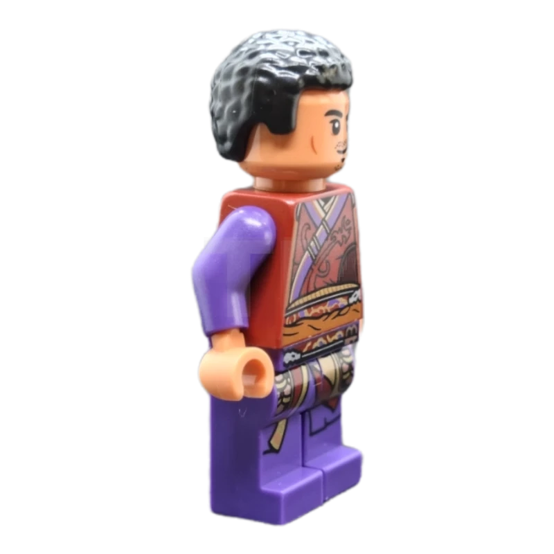 LEGO&reg; sh0793 Wong