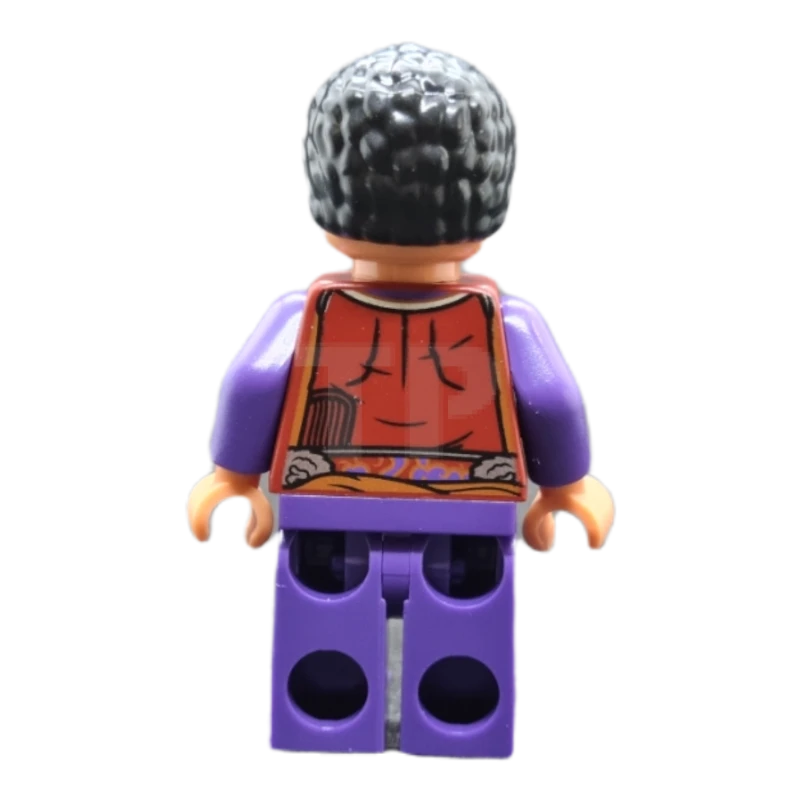 LEGO&reg; sh0793 Wong