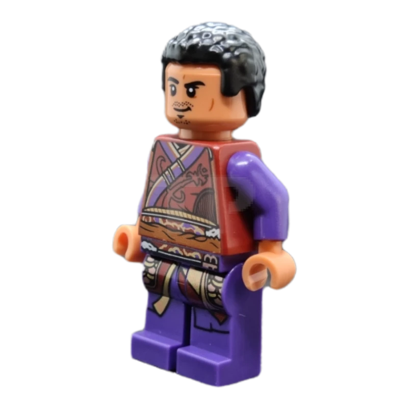 LEGO&reg; sh0793 Wong