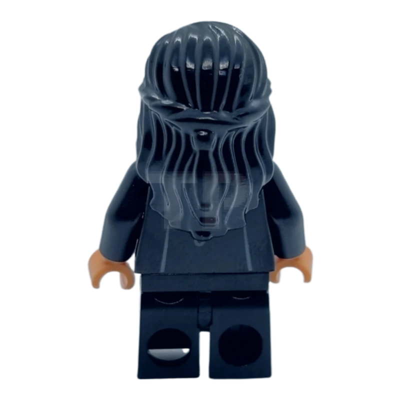 LEGO&reg; hp334 Parvati Patil