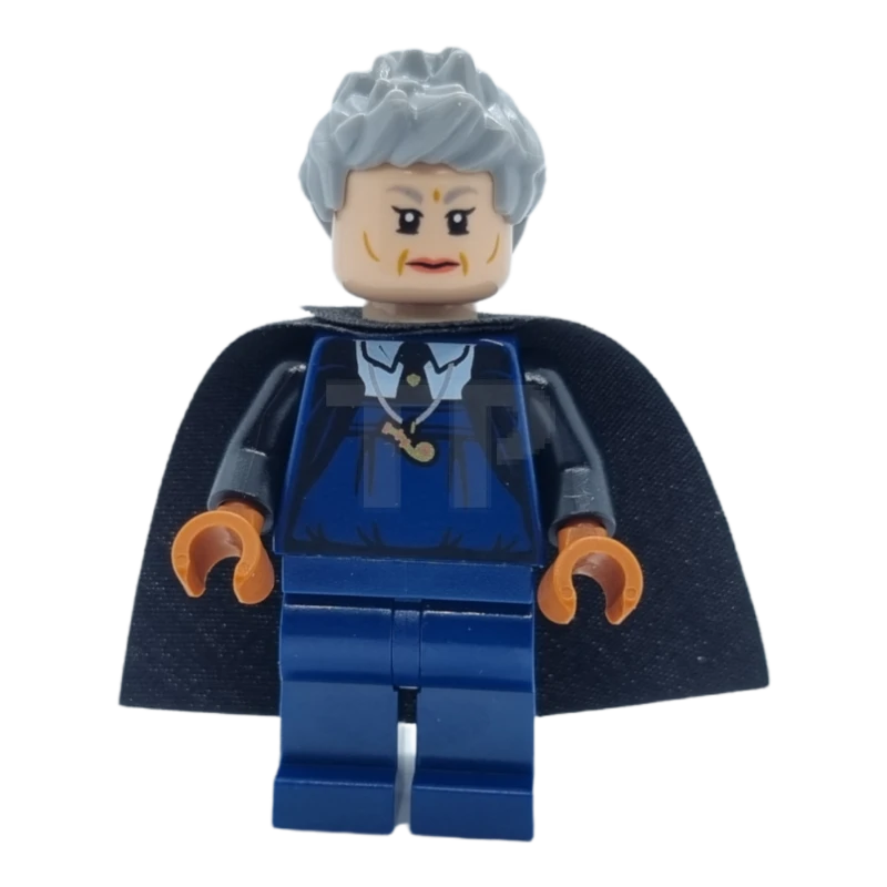 LEGO&reg; hp296 Mevrouw Hooch