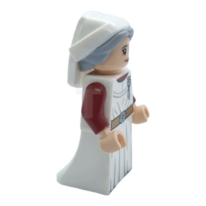 LEGO&reg; hp325 Madame Poppy Pomfrey