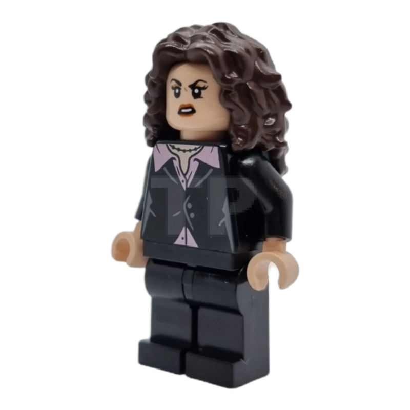 LEGO&reg; idea095 Elaine Marie Benes