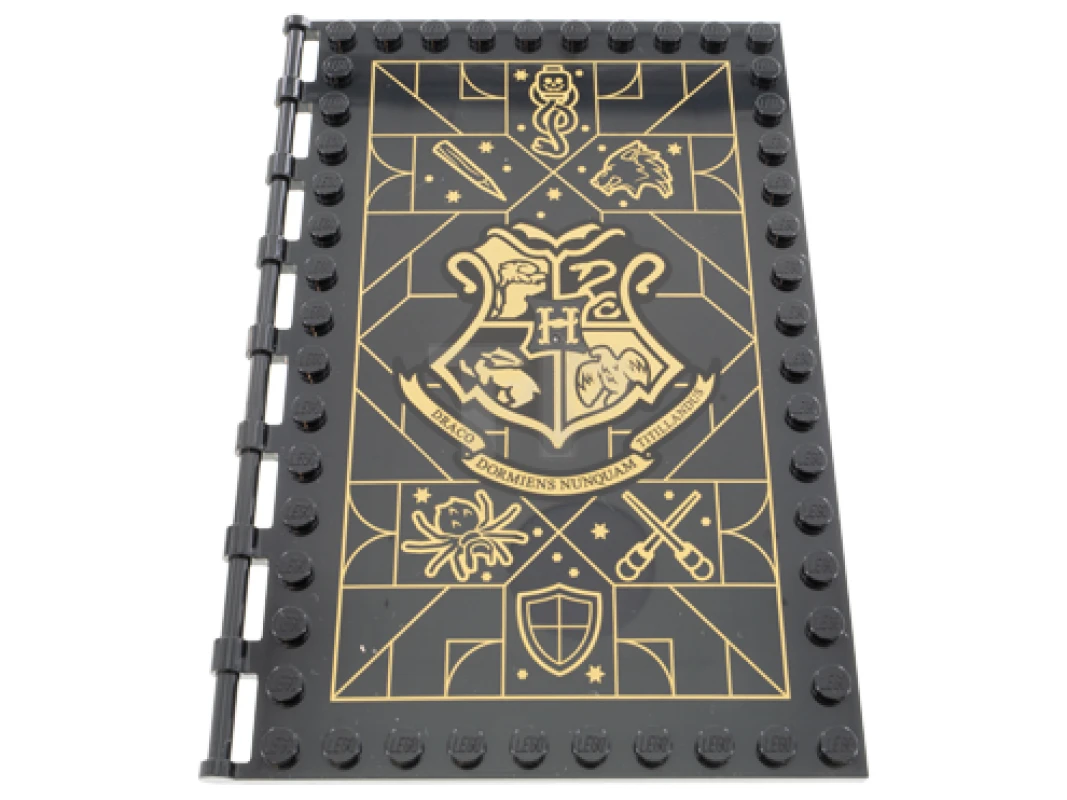 LEGO&reg; 6377690 - 69934pb014 - Tile 10 x 16 with Studs and Bar Handles with Hogwarts Defence Against the Dark Arts Class Pattern