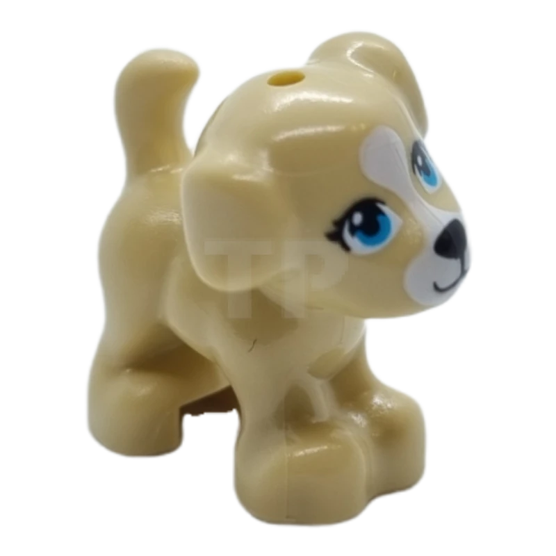 LEGO&reg; 93088pb14 - 6373135 - Dog, Puppy