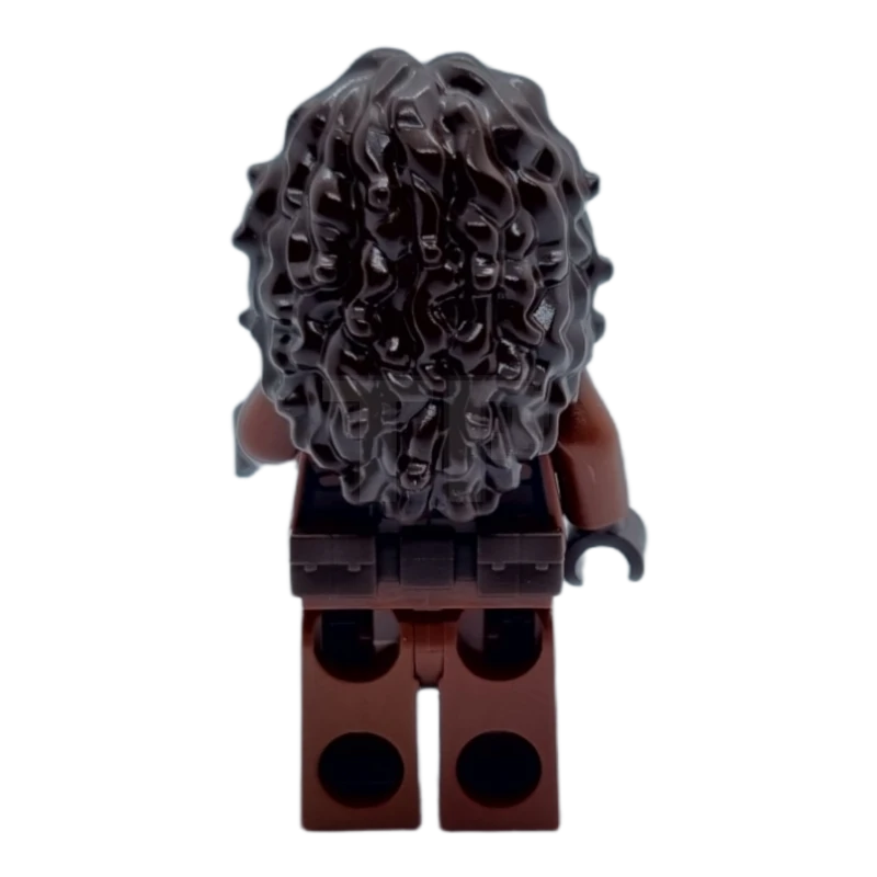 LEGO&reg; sw1210 Devise de Peli