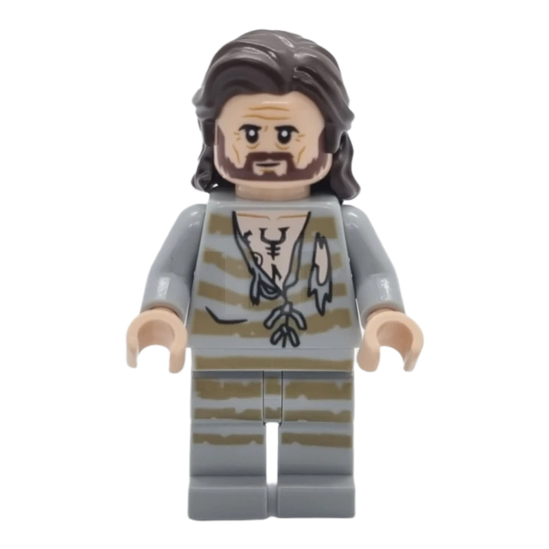 LEGO&reg; hp345 Sirius Black